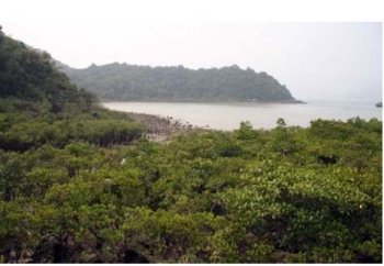 Trang chủ 65 22222