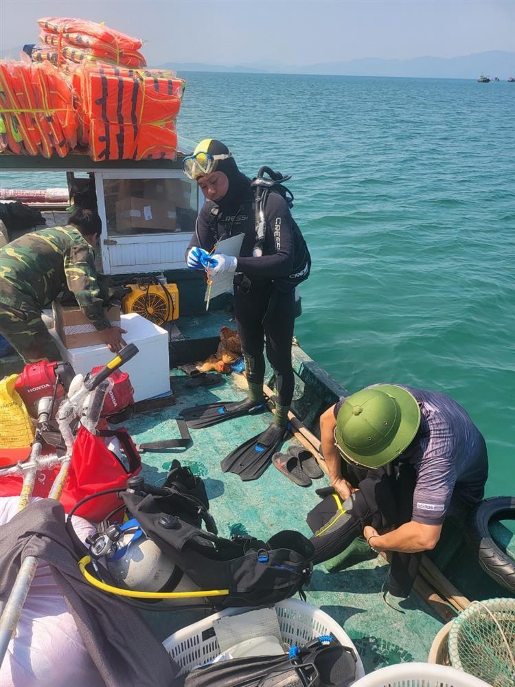 Giám sát hệ sinh thái rạn san hô đợt 2 tại Vườn quốc gia Bái Tử Long năm 2022 15 001 Copy 32