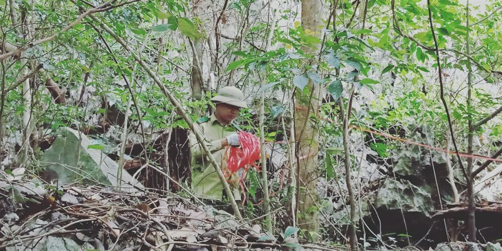 Triển khai công tác giám sát thực vật trên ô định vị lâm học năm 2020 tại Vườn quốc gia Bái Tử Long 24 2. lap o tieu chuan tai Ang Cai De 2