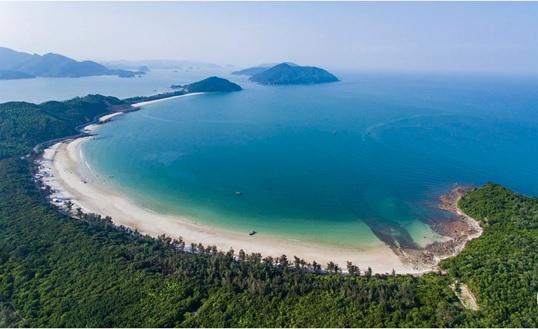 Phát triển du lịch Bái Tử Long từ cây di sản 5 2212490 tram 10245913