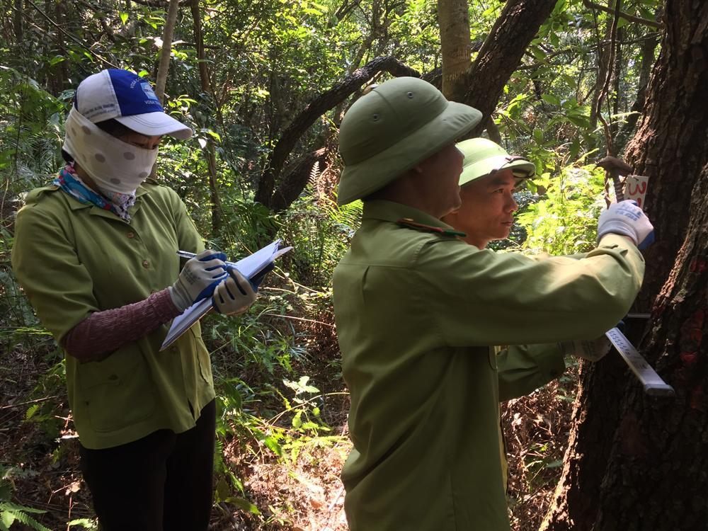 Triển khai công tác giám sát thực vật trên ô định vị lâm học năm 2020 tại Vườn quốc gia Bái Tử Long 28 6. Dieu tra tang cay cao tai Ang 1 Cai Lim