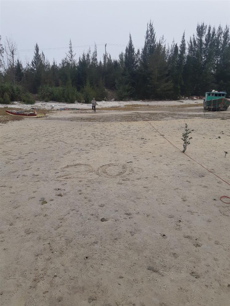 Chương trình giám sát rác thải nhựa bãi biển 15 anh 5