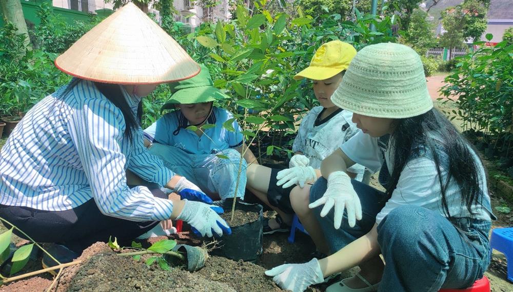 Thăm quan, giáo dục môi trường nhiên nhiên và đa dạng sinh học tại Bảo tàng Đa dạng sinh học - Vườn Quốc gia Bái Tử Long 12 b4