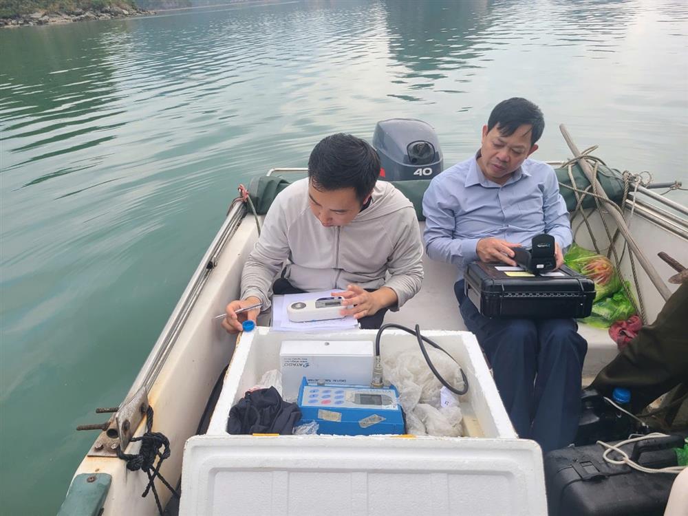 Giám sát, đánh giá chất lượng môi trường nước biển Vườn quốc gia Bái Tử Long 14 gs4