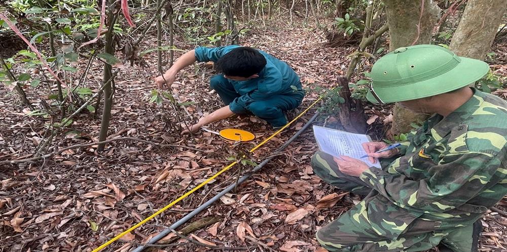 Kết quả giám sát hiện trạng rừng Trâm Di sản đợt 1 năm 2025 tại Vườn quốc gia Bái Tử Long 9 kq3