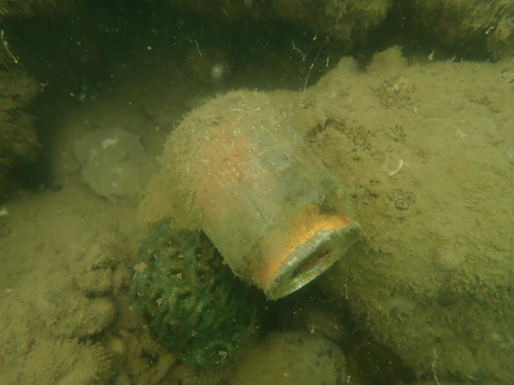 Giám sát rác thải nhựa rạn san hô đợt 1 năm 2025 10 nh2