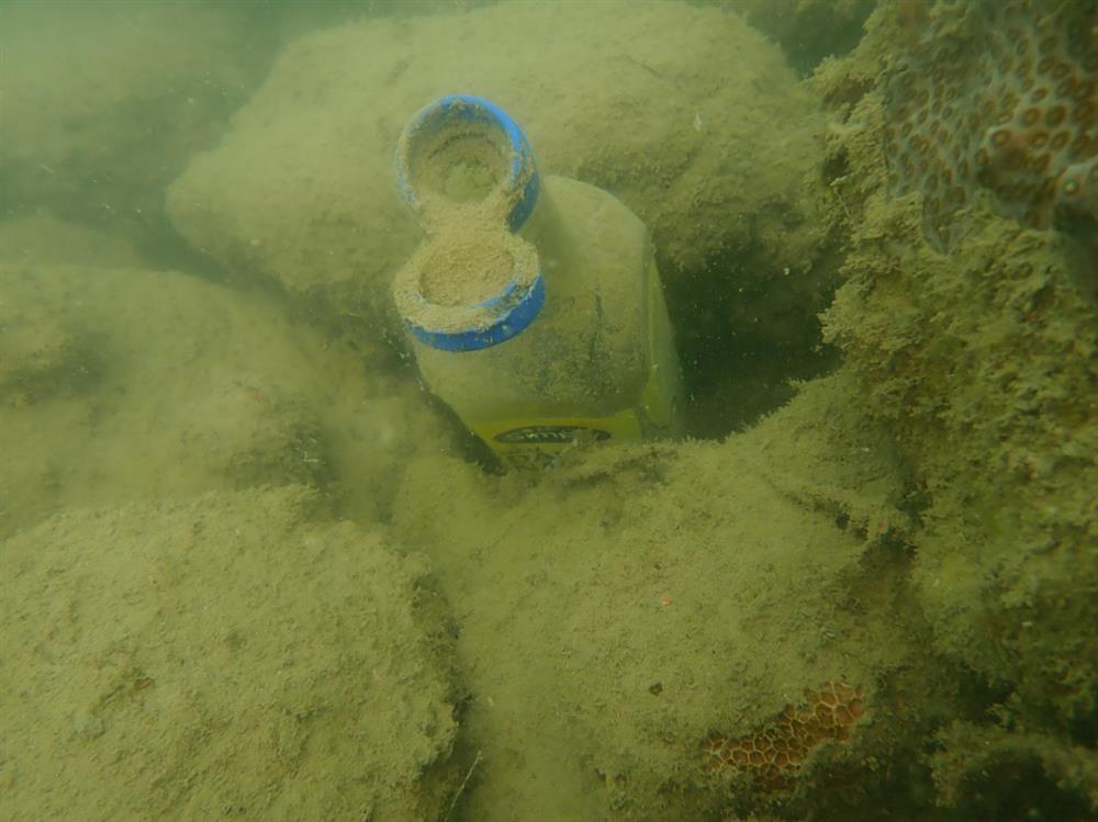 Giám sát rác thải nhựa rạn san hô đợt 1 năm 2025 11 nh3