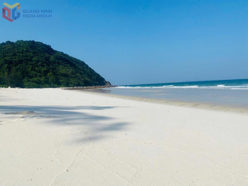 Đẩy nhanh tiến độ thực hiện các khu bảo tồn biển Quảng Ninh 6 td2