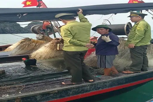 Tuyên truyền, phổ biến Luật Lâm nghiệp và các văn bản có liên quan tại Vườn quốc gia Bái Tử Long 13 003 1