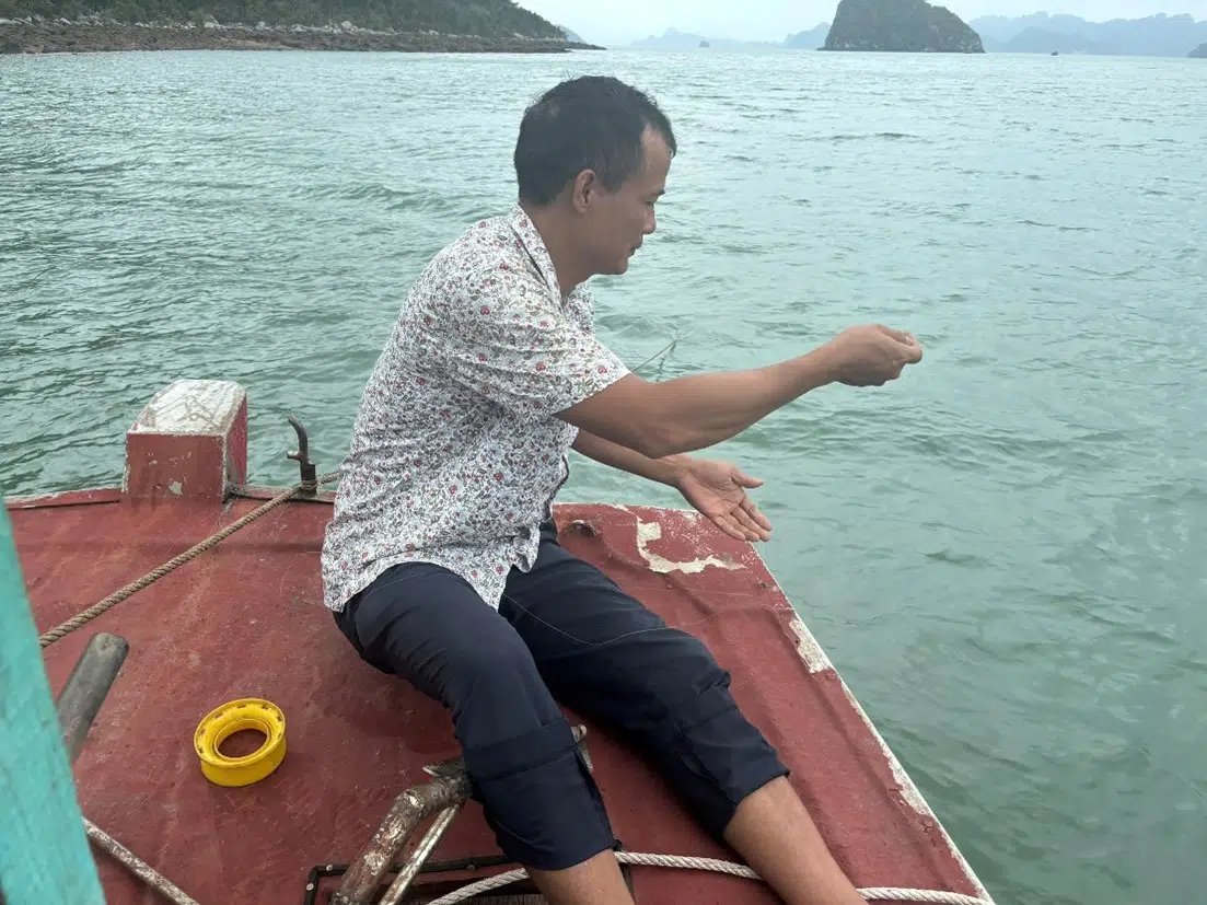 Thu thập mẫu sinh vật biển phục vụ trưng bày tại Nhà Bảo tàng đa dạng sinh học Vườn quốc gia Bái Tử Long đợt 1 năm 2025 11 003 2