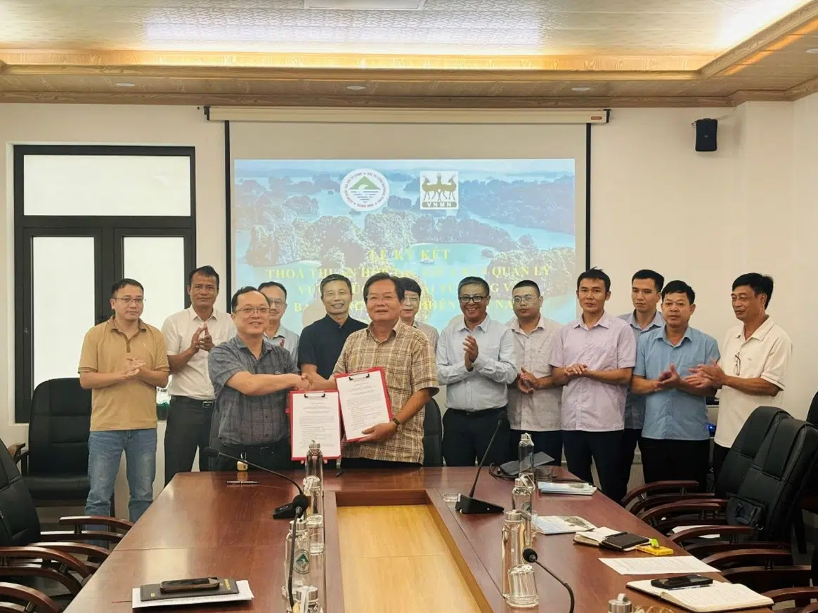 Ban Quản lý Vườn quốc gia Bái Tử Long ký kết thỏa thuận hợp tác với Bảo tàng Thiên nhiên Việt Nam 16 004 3