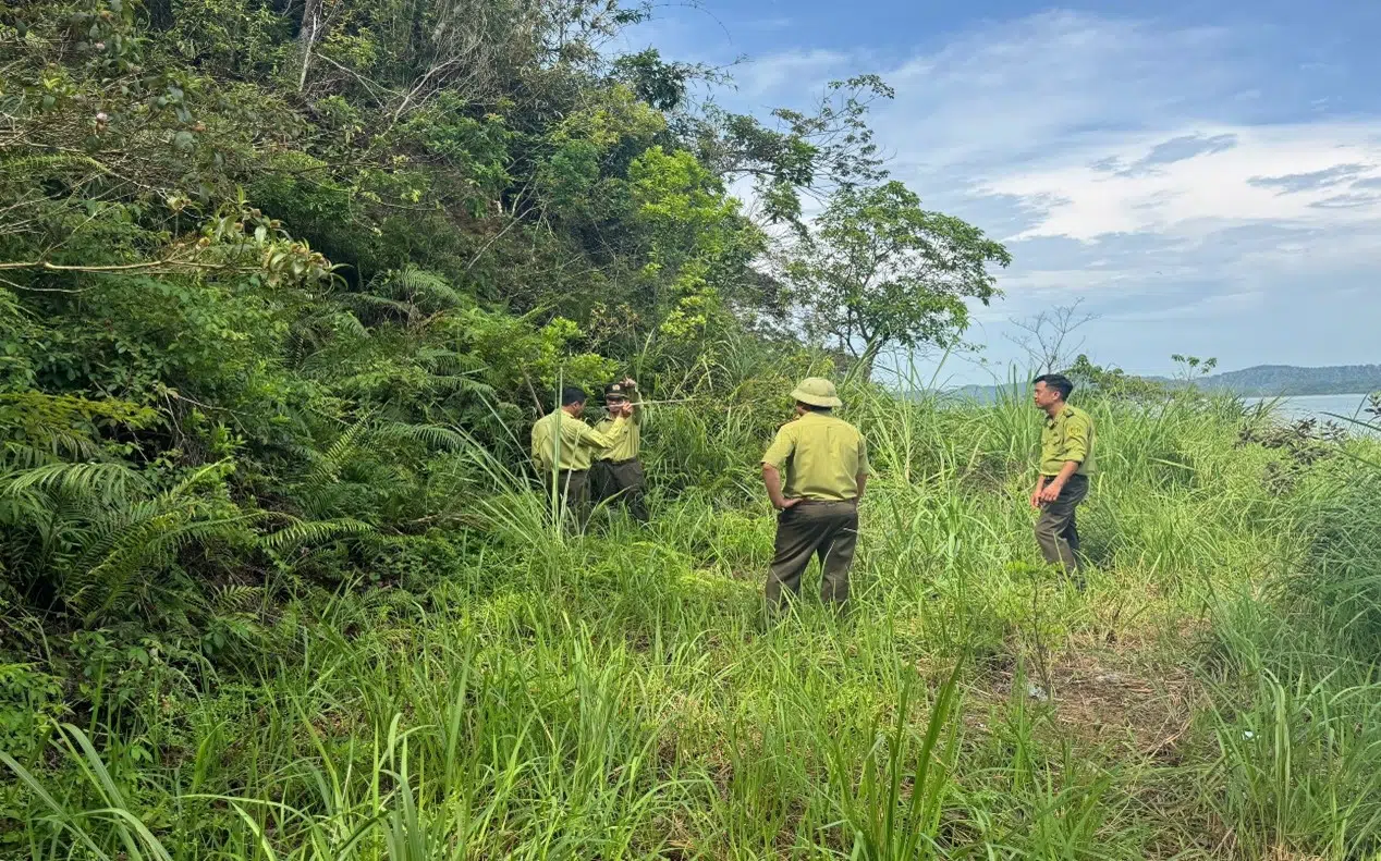 Hạt trưởng Hạt Kiểm lâm Ban quản lý Vườn quốc gia Bái Tử Long kiểm tra công tác quản lý bảo vệ rừng và phòng chống cháy rừng năm 2025 tại Trạm Kiểm lâm Lách Chè 5 01