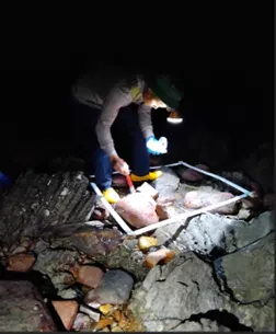 Vườn quốc gia Bái Tử Long triển khai giám sát động vật đáy vùng triều đợt 2 năm 2025 10 002