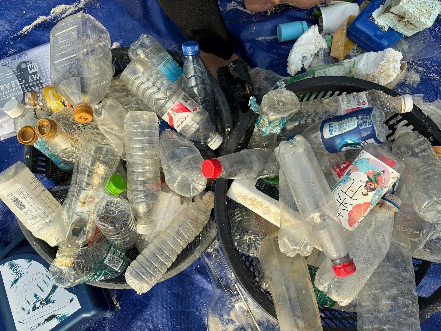 Chương trình Giám sát rác thải nhựa bãi biển trong ranh giới Vườn quốc gia Bái Tử Long đợt 2 năm 2025 11 003 1