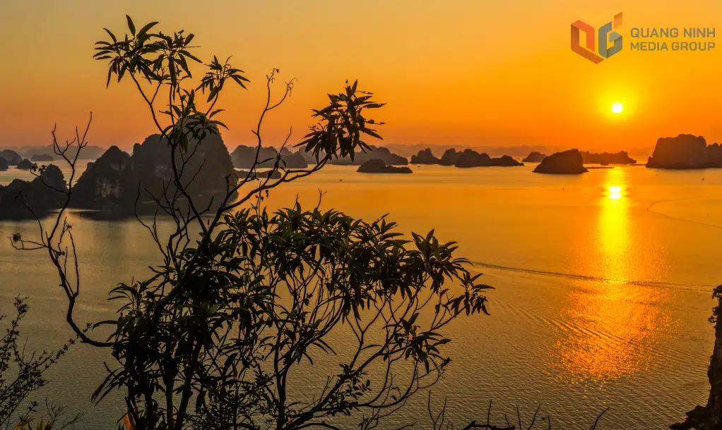 Trang chủ 42 Bai Tu Long7