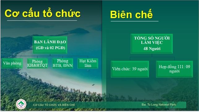 tongquan05
