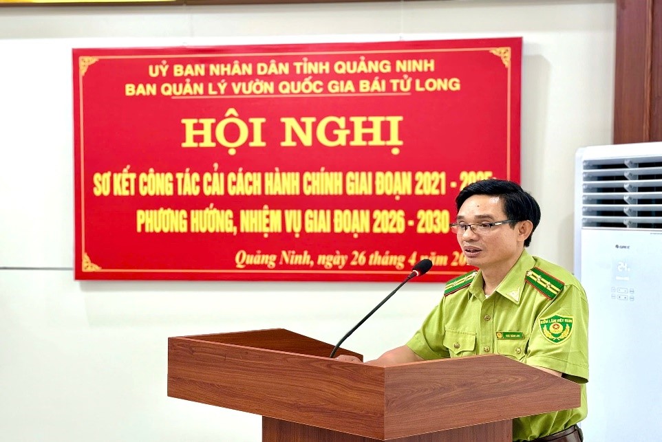 n3