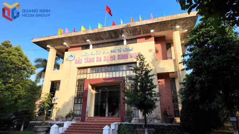 Bao tang