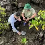 Kiểm tra, theo dõi mô hình bảo tồn nguồn gen Ốc đĩa tại Vụng Cái Quýt, Vườn quốc gia Bái Tử Long (đợt 2) năm 2025