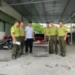 Ban quản lý Vườn quốc gia Bái Tử Long tiếp nhận 01 cá thể khỉ đuôi dài (Macaca fascicularis) tái thả về môi trường sống tự nhiên