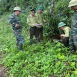 Giám sát động vật hoang dã trên các đảo của Vườn quốc gia Bái Tử Long đợt 2 năm 2025