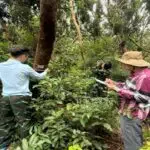 Ban Quản lý Vườn quốc gia Bái Tử Long hoàn thành đợt giám sát rừng Trâm di sản lần 2 năm 2025