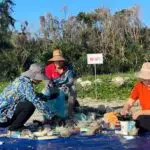 Chương trình Giám sát rác thải nhựa bãi biển trong ranh giới Vườn quốc gia Bái Tử Long đợt 2 năm 2025