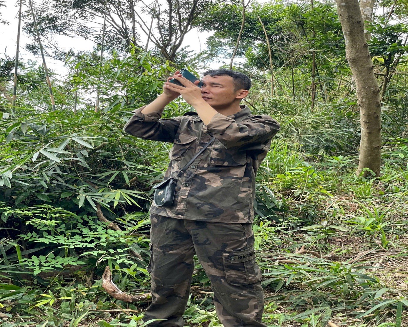 Vườn quốc gia Bái Tử Long triển khai giám sát hiện trạng cây gỗ lớn đợt 5 năm 2025 12 003 4