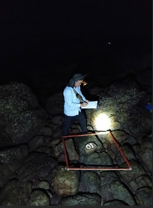 Vườn quốc gia Bái Tử Long tiếp tục duy trì mô hình bảo tồn nguồn gen thủy sản quý hiếm