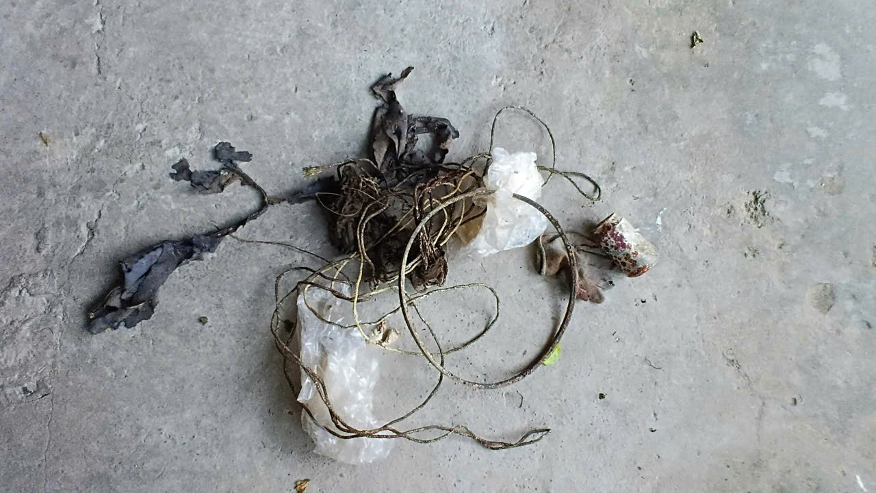 Giám sát rác thải nhựa san hộ đợt 2 năm 2025 tại Vườn quốc gia Bái Tử Long 12 004