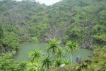 Hệ sinh thái tùng, áng (Hồ - Karst)